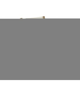 Деревянный стул Vilara