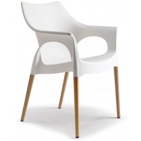 Пластиковый стул 005/211511