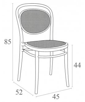 Пластиковый стул 234/257-9206