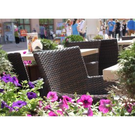 Кресло с подушкой GS 909