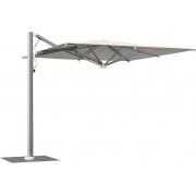 слоновая кость / титан