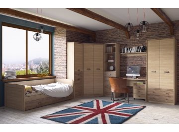 Шкаф Diesel 2D1S / D1