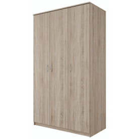 Шкаф Пегас 3