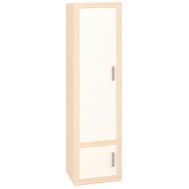 Шкаф Той 60/45 Д КБЕ