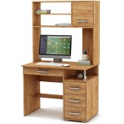 дуб золотистый