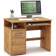 дуб золотистый