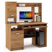 дуб золотистый