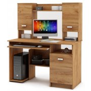 дуб золотистый