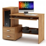 дуб золотистый