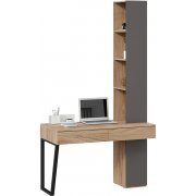 яблоня беллуно / графит софт