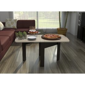 Стол-книжка СтК6