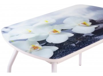 Деревянный стол Элла