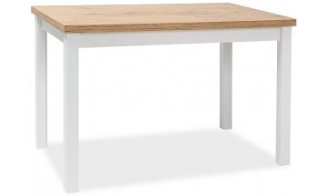 Деревянный стол Adam 100