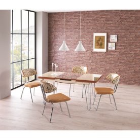 Обеденная группа K22