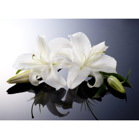 Стеклянный стол Лотос 1000 х 600