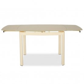 Стеклянный стол DT6236B