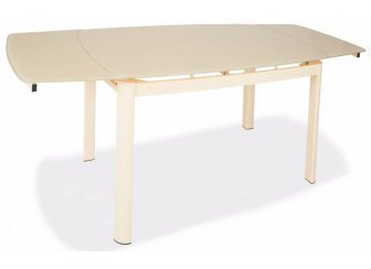 Стеклянный стол DT6236B