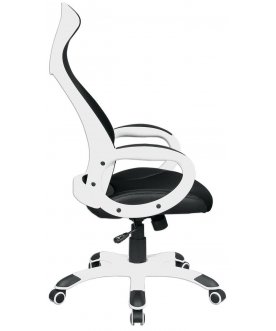 Компьютерное кресло Premium Genesis EX-517