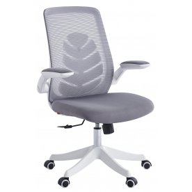 Компьютерное кресло Chairman CH565