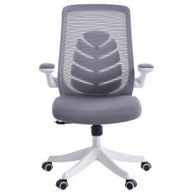 Компьютерное кресло Chairman CH565