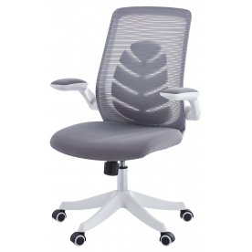 Компьютерное кресло Chairman CH565