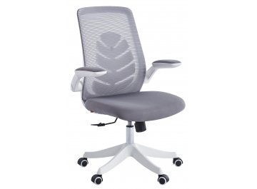 Компьютерное кресло Chairman CH565