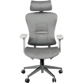 Компьютерное кресло Expert Ergo Fly