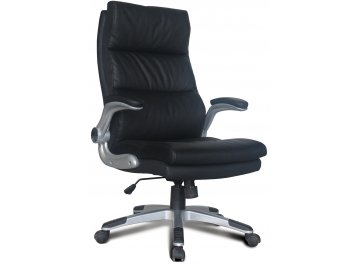 Компьютерное кресло Fregat EX-510