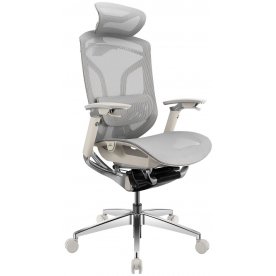 Компьютерное кресло Gt Chair Dvary X Pro