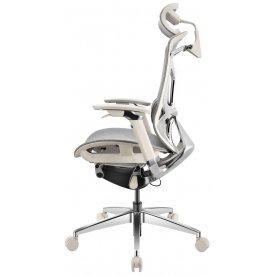 Компьютерное кресло Gt Chair Dvary X Pro