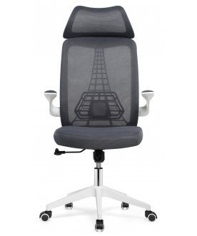 Компьютерное кресло Lokus