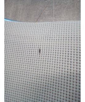 Компьютерное кресло Reus