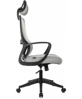 Компьютерное кресло Wise