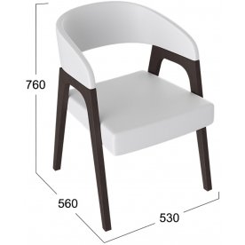 Кресло Техас 1 W-101