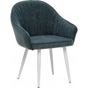 темно-зеленый / белый