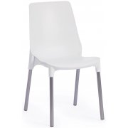 белый / хром