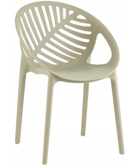 Пластиковый стул Мимоза
