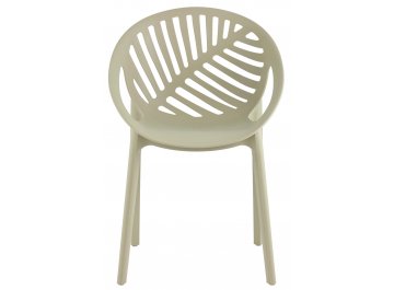 Пластиковый стул Мимоза