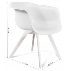 Пластиковый стул SHT-ST31/S39