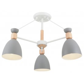 Люстра Delia FR5033CL-03W