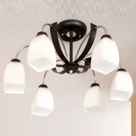 Потолочная люстра Крокус CL128161