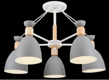 Потолочная люстра Delia FR5033CL-05W