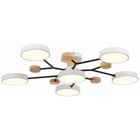 Потолочный светильник SLE6006-502-06