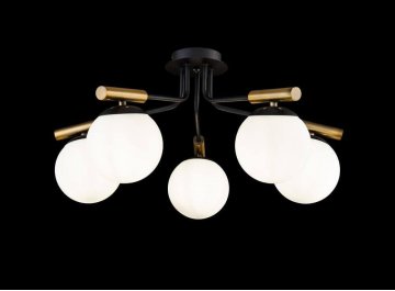 Потолочная люстра Paolina FR5011CL-05B