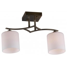 Потолочный светильник Pisticci OML-55317-02