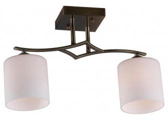 Потолочный светильник Pisticci OML-55317-02