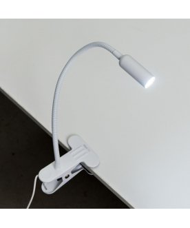 Настольная лампа Ньютон CL803060N