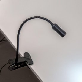 Настольная лампа Ньютон CL803061N