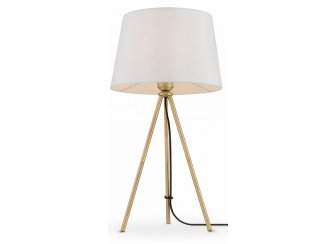 Настольная лампа FR5118TL-01BS