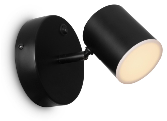 Спот FR10005CW-L6B